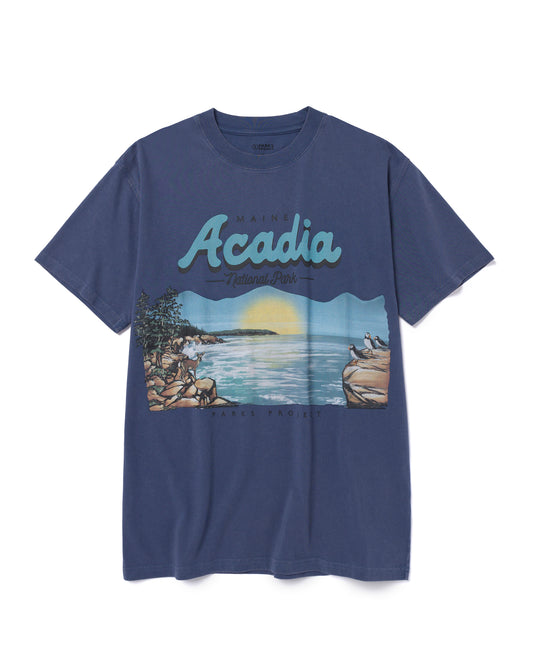 Shop Acadia National Park Vintage Tee Inspired by Acadia