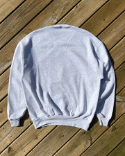 Vintage Bushkill Falls Crewneck