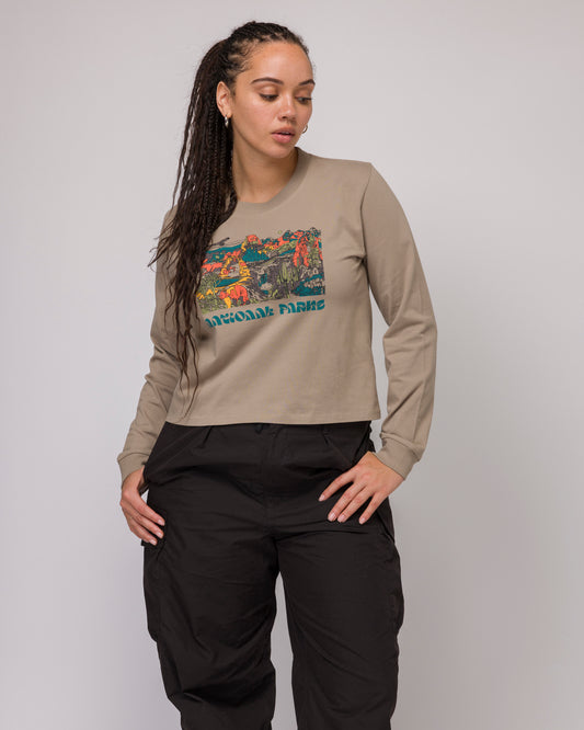 Shop National Parks Collage Long Sleeve Boxy Tee Inspired by Parks | mushroom-grey