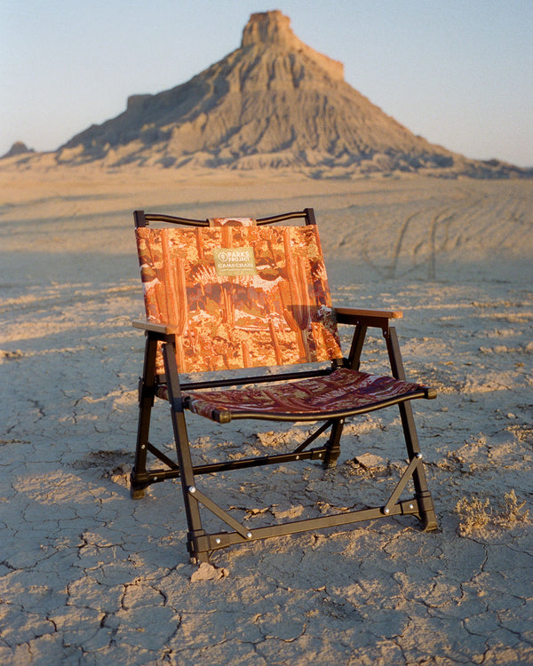 Shop Saguaro Cacti Fold Up Chair Inspired by Desert Parks | multi-color