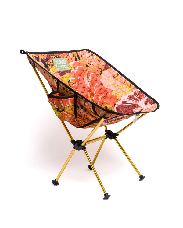 Shop Rooted in Nature Packable Camp Chair Inspired by our Parks | natural