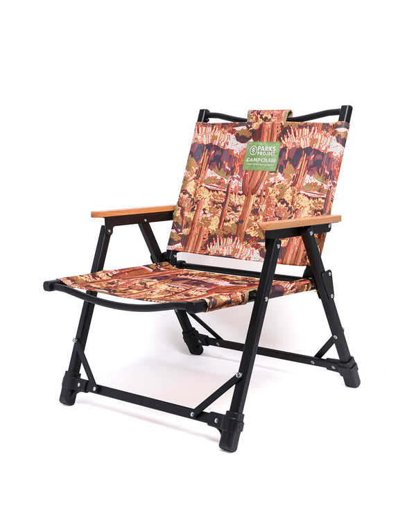 Shop Saguaro Cacti Fold Up Chair Inspired by Desert Parks | multi-color