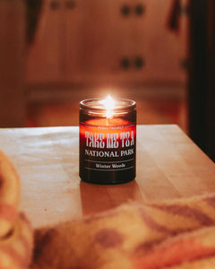 shop take me to the parks winter woods soy candle inspired by our national parks | amber