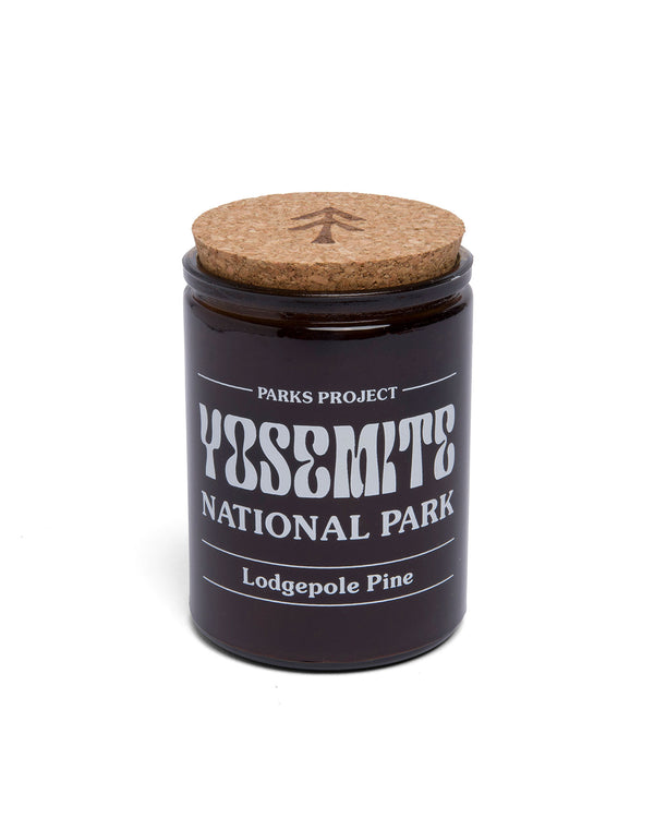 Shop Yosemite National Park Lodgepole Pine 11oz. Soy Candle | amber