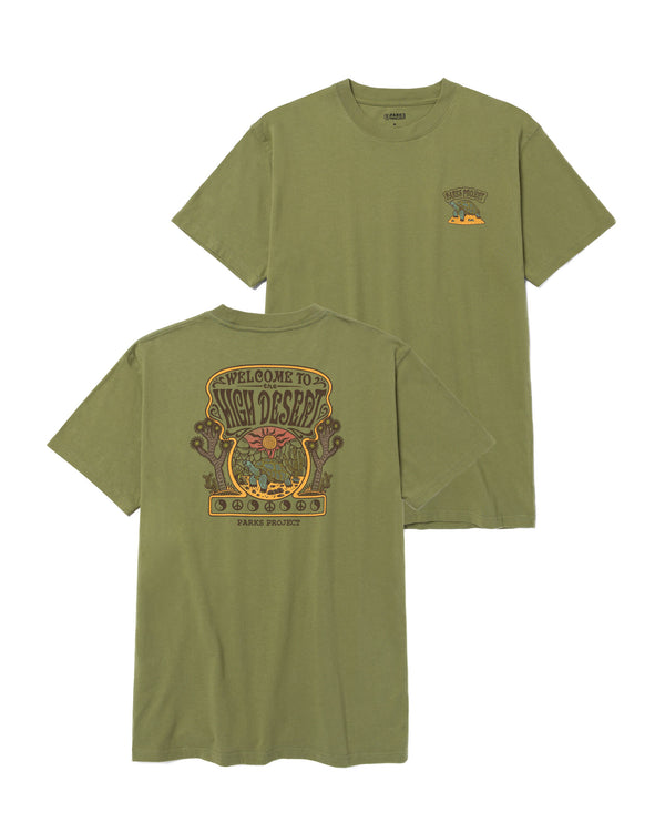 Shop High Desert Tortoise Tee Inspired by our Desert National Parks | fern