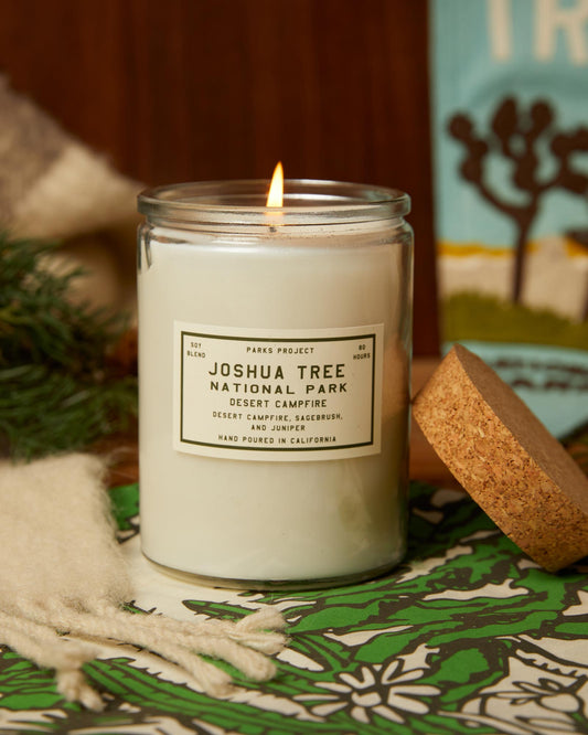 Shop Joshua Tree Desert Campfire Candle Inspired by Joshua Tree NP | clear